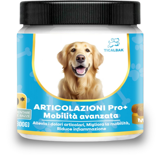 Articolazioni Pro+